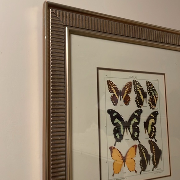 Large butterfly print - Picture 2 of 4